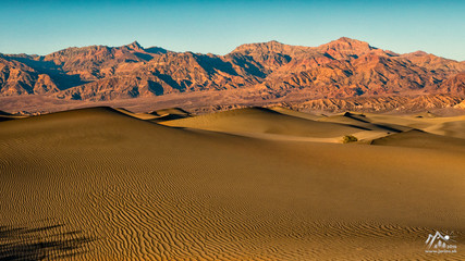 Mesquite Dunes suothwest USA sand