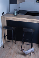 oriental can in modern kitchen interior