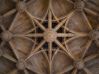 The Ceiling of Saint-Cecile Cathedral in Albi France