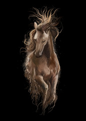 Obraz na płótnie Canvas A Galloping Horse. Watercolor drawing