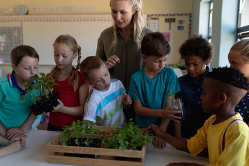 Female teacher around a box of plants for a nature study lesson in an elementary school classroom
