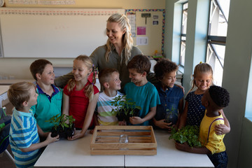 Female teacher around a box of plants for a nature study lesson in an elementary school classroom