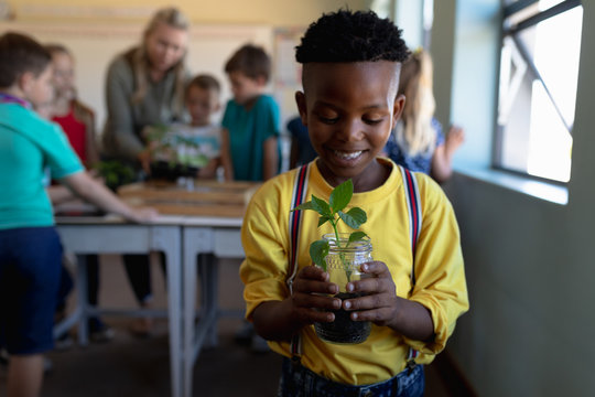Schoolboy standing holding a seedling plant in a jar of earth in an elementary school classroom