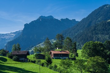 Fototapeta na wymiar Beautiful swiss alps mountains. Alpine meadows. farmhouses. village 