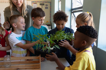 Female teacher around a box of plants for a nature study lesson in an elementary school classroom