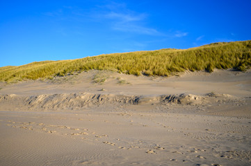 Dutch landscape witn North sea sandy dunes near Castricum aan Zee, Netherlands