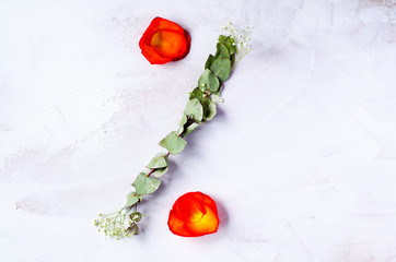 Symbol of percent from rose petals and twigs for decor. Percent symbol, made from yellow-red petals rose isolated on a white background.