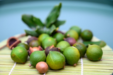 Group of ripe macamadia nuts in green and brown shell and leaves of macadamia tree