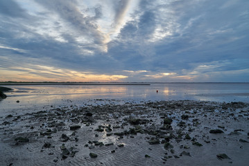 stones in the mud flat of the bay Jadebusen (Germany) during low tide under scenic dramatic sunset sky with dark clouds