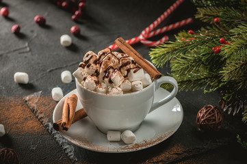 A cup of hot chocolate with marshmallows