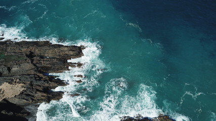 Nature from a camera in the middle of winter in the Canary Islands