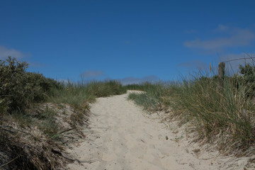 Dunes