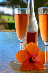 Two glasses of rose bubbles champagne or cava wine served outside on paradise island with palms and green grass