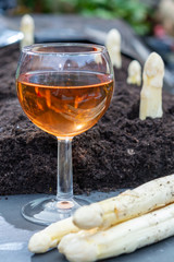 New harvest of  white asparagus vegetable in spring season and glas rose wine, white heads of asparagus growing up from the ground on farm