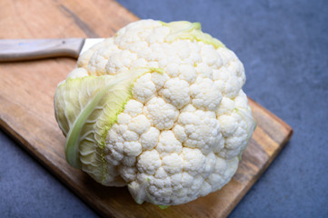 Fresh whole head of white organic cauliflower cabbage