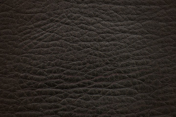 Fototapeta premium Dark black-brown leather. Textural surface.