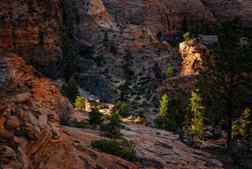 Zion National Park red rocks in sunset