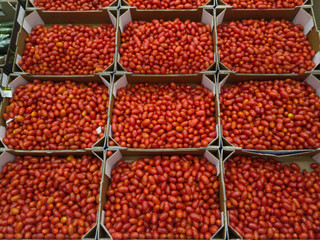 Red ripe cherry tomatoes on the counter