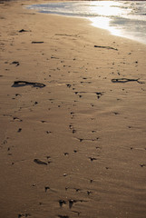 sunset sea shore sand landscape  