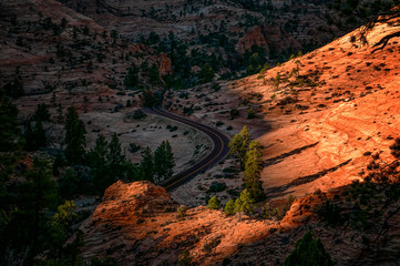Zion National Park red rocks in sunset