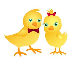 A pair of cute chickens. Chicken boy and chicken girl in cartoon style. 