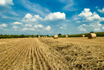 Tractor makes straw