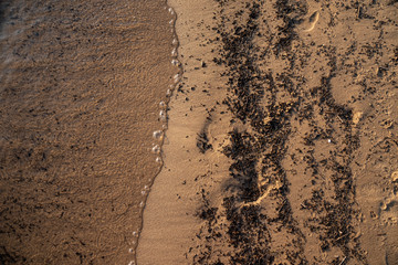 sea shore sand and water details 