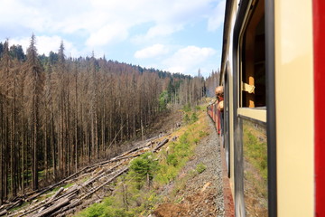 Steam engine train in Harz Region
