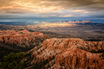 Fototapeta na wymiar Bryce Canyon National Park Utah