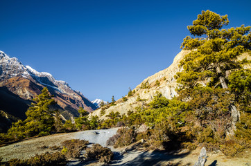 Trekking route between Ngawal and Bhraka villages in early sunny morning. Marshyangdi river valley, Annapurna circuit trek, Nepal.
