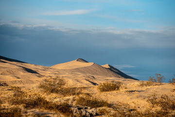 Fototapeta na wymiar Sand Dunes of Mojave National Preserve