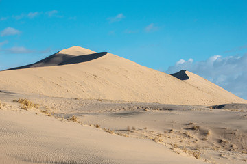 Fototapeta na wymiar Sand Dunes Desert Landscape