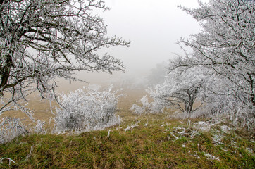 Winterlandschaft