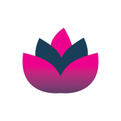 pink blue lotus leaf flower logo design