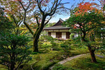 Fototapeta na wymiar Jardin Kyoto