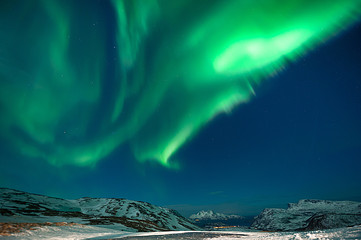 Fototapeta na wymiar The polar lights in Norway,Tromso