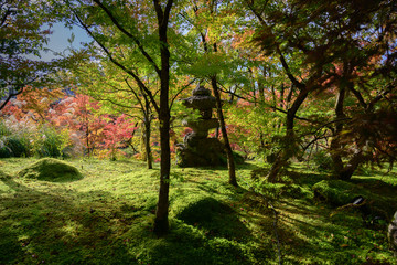 Couleurs d'automne à Kyoto