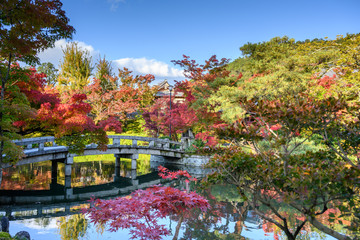 Obraz premium Couleurs d'automne à Kyoto