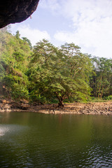 The landscape of green water and forest around Geopark Ciletuh in West Java, Indonesia. Lake with green water in the forest.