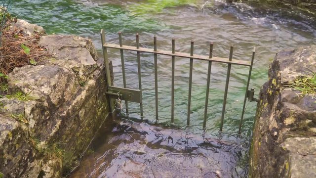 CHEDDAR, SOMERSET, UNITED KINGDOM, Garden Footpath Flooded By The River Yeo In The Middle Of The Cheddar Village.