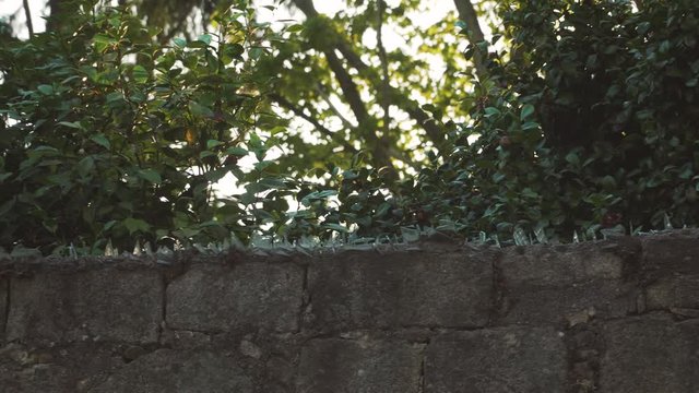 Broken glass on top of a wall, anti robbery system to prevent thieves from climb the wall.