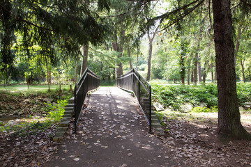 Bridge in the Park