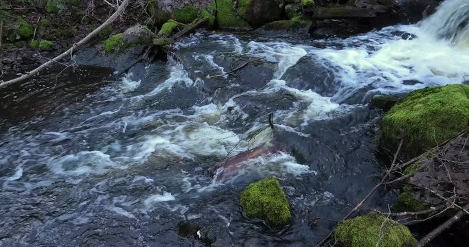 Filming at a stream in the forest in Sweden