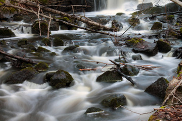 Photographs at a stream in the forest in Sweden