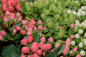 Background of bouquets of flowers. Design. Close up.