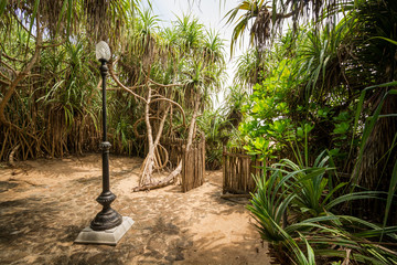 Sri lanka countryside, outdoor photo