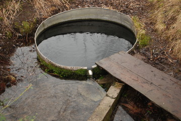  field, village, spring, reed, grass, ax, logs, bonfire, rain, boat, girl, flower