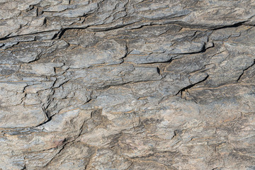 surface of the stone with grey, brown tint
