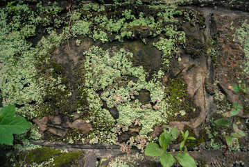 Obraz premium field, village, spring, reed, grass, ax, logs, bonfire, rain, boat, girl, flower