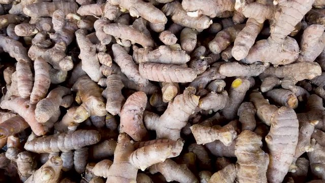 Root fresh turmeric, pan from left to right.